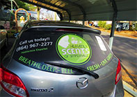 Rear Window Graphics